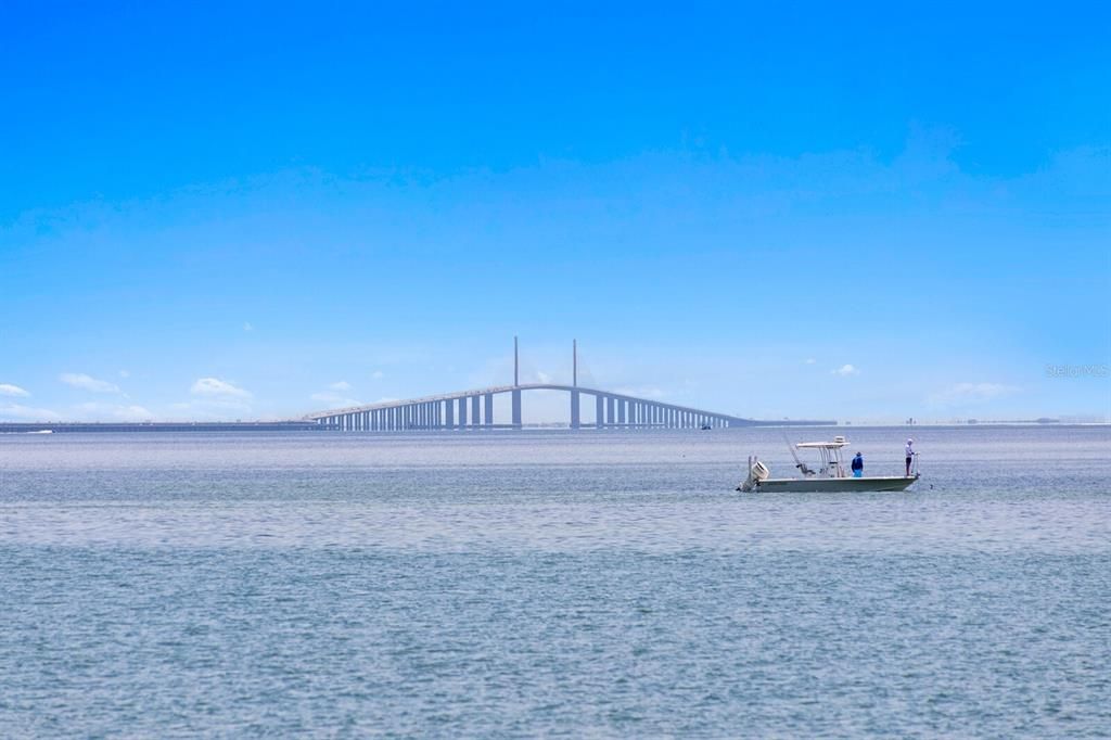 На продажу: $9,800,000 (5 спален, 4 ванн, 7825 Квадратных фут)