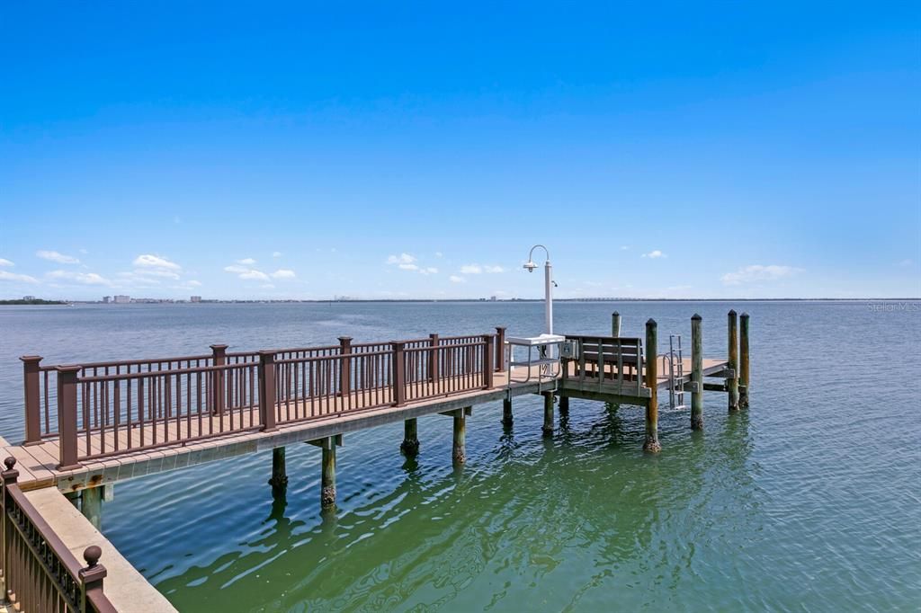 На продажу: $9,800,000 (5 спален, 4 ванн, 7825 Квадратных фут)