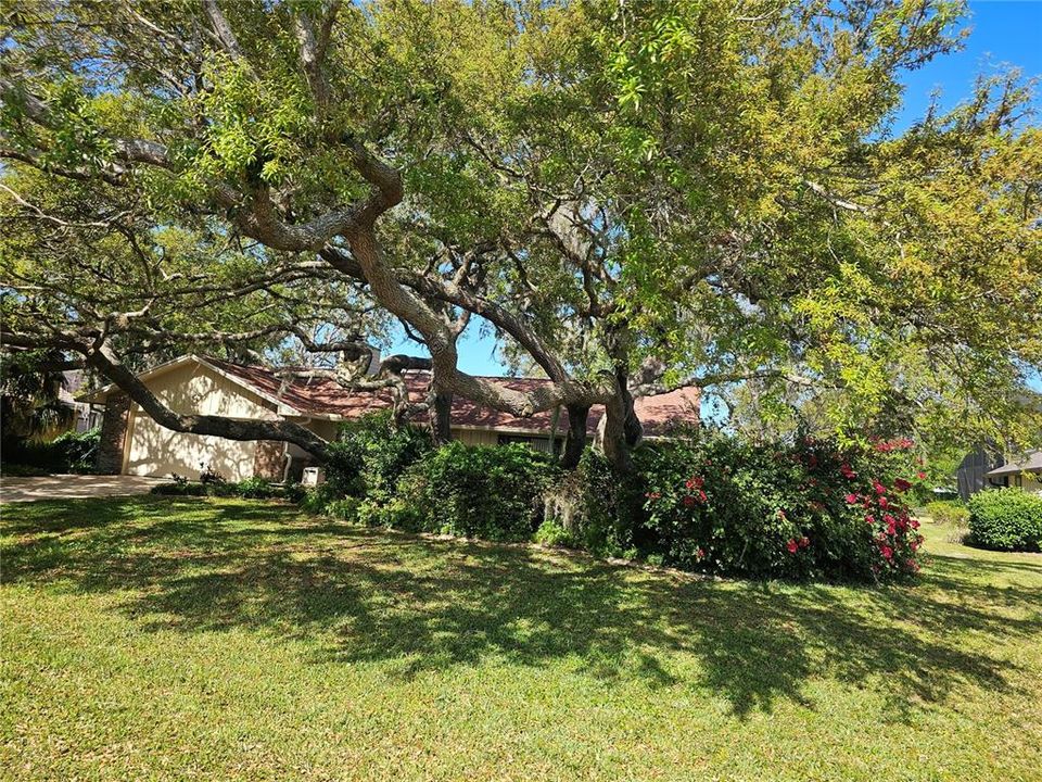 Recently Sold: $875,000 (3 beds, 2 baths, 1497 Square Feet)