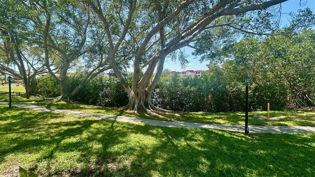 Active With Contract: $135,000 (2 beds, 2 baths, 1175 Square Feet)