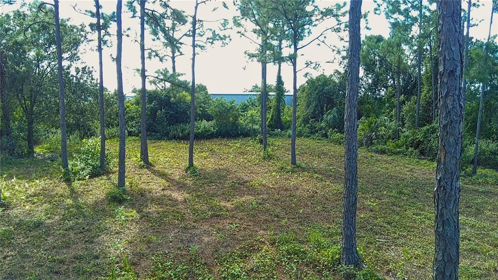 Activo con contrato: $100,000 (1.00 acres)