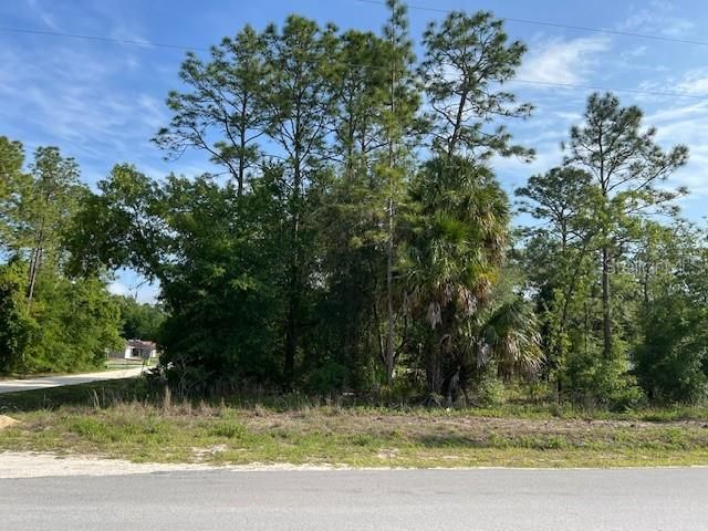 Front view of Lot 14 from SW 20th PL