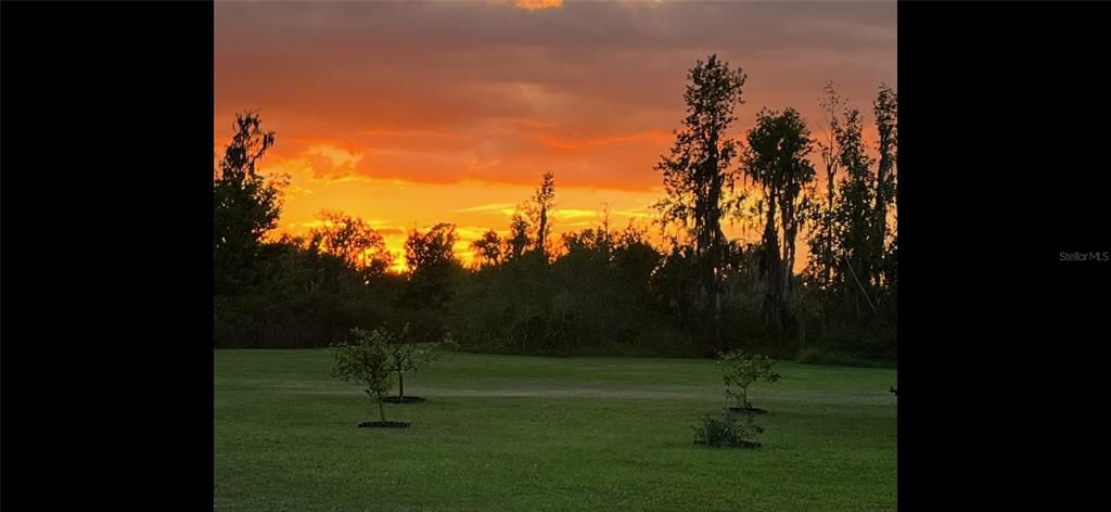 For Sale: $794,500 (3 beds, 2 baths, 1814 Square Feet)