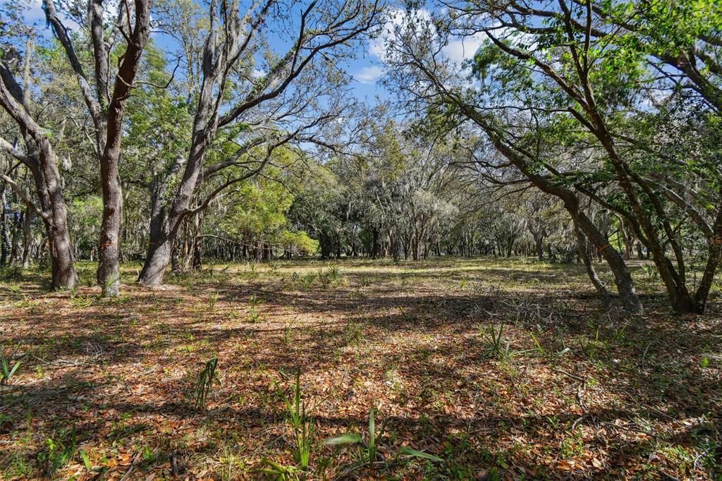 待售: $4,500,000 (22.30 acres)