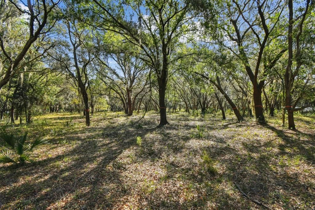 待售: $4,500,000 (22.30 acres)