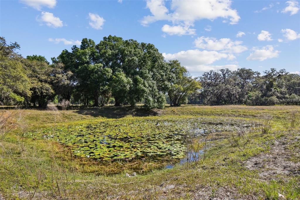 待售: $4,500,000 (22.30 acres)