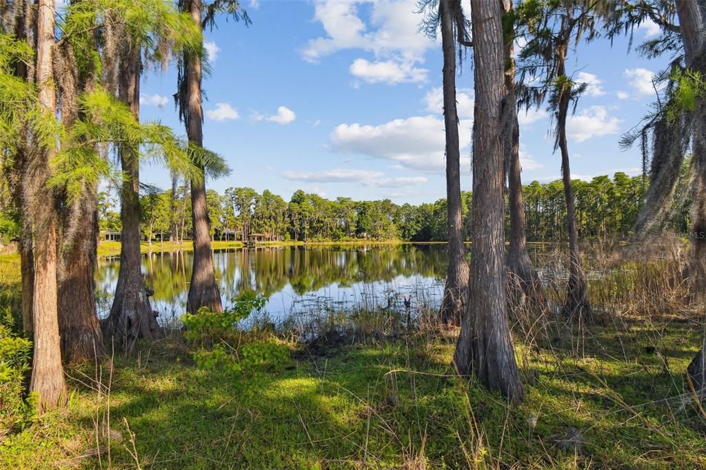 待售: $4,500,000 (22.30 acres)