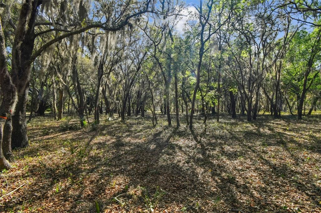 待售: $4,500,000 (22.30 acres)