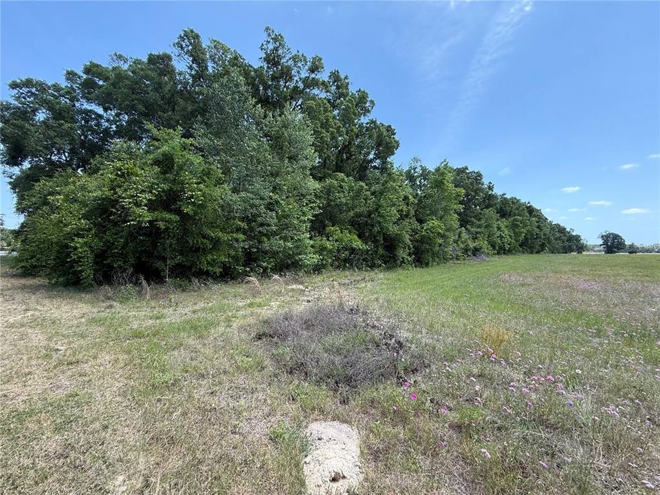 For Sale: $34,900 (1.00 acres)