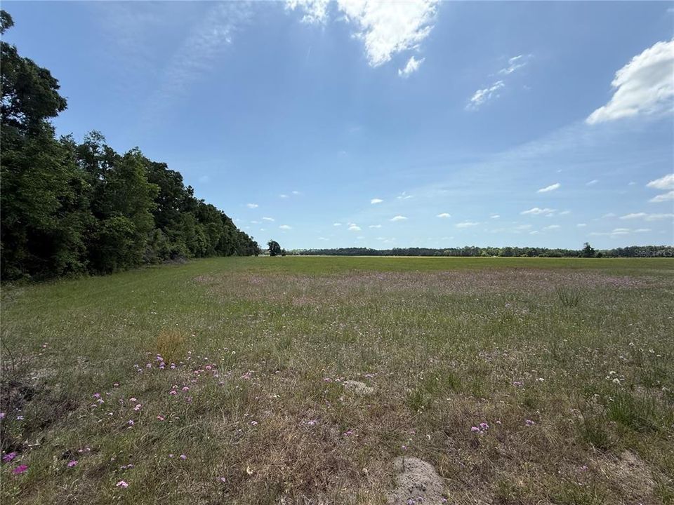 For Sale: $34,900 (1.00 acres)