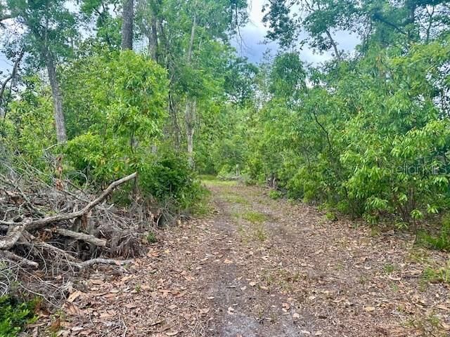 En Venta: $245,000 (3.18 acres)