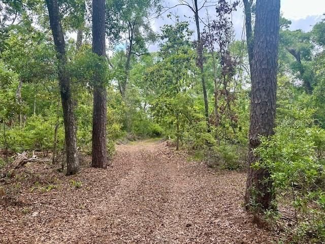 En Venta: $245,000 (3.18 acres)