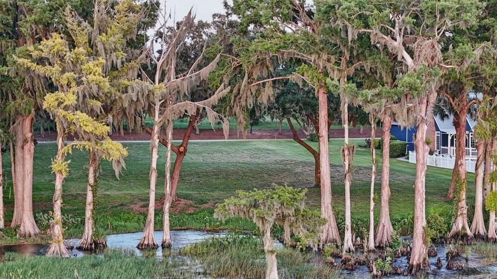 For Sale: $800,000 (0.91 acres)