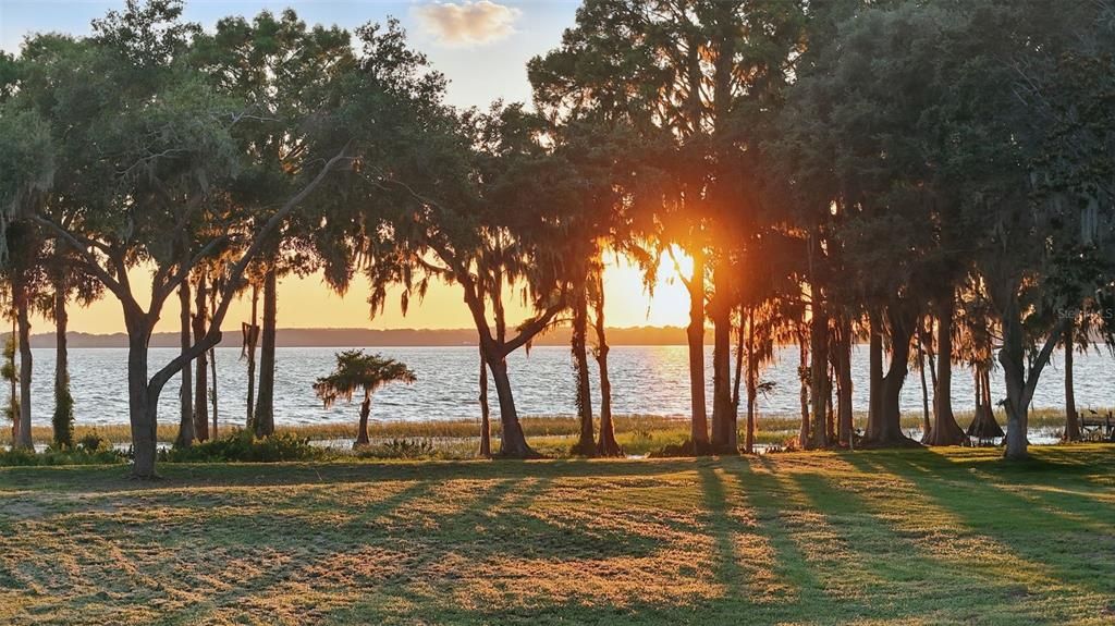 For Sale: $800,000 (0.91 acres)