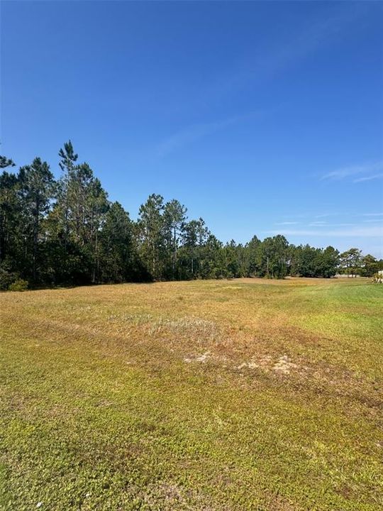 For Sale: $237,999 (2.17 acres)