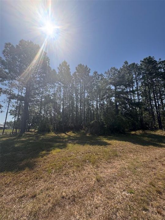 For Sale: $237,999 (2.17 acres)