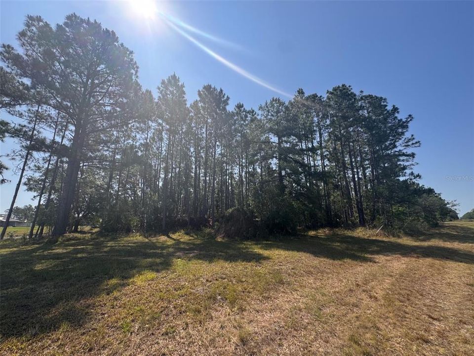 For Sale: $237,999 (2.17 acres)