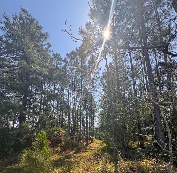 For Sale: $237,999 (2.17 acres)