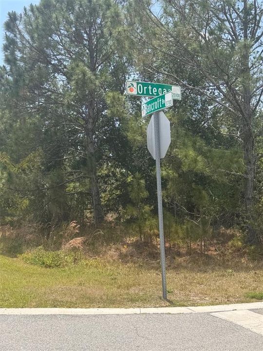For Sale: $237,999 (2.17 acres)