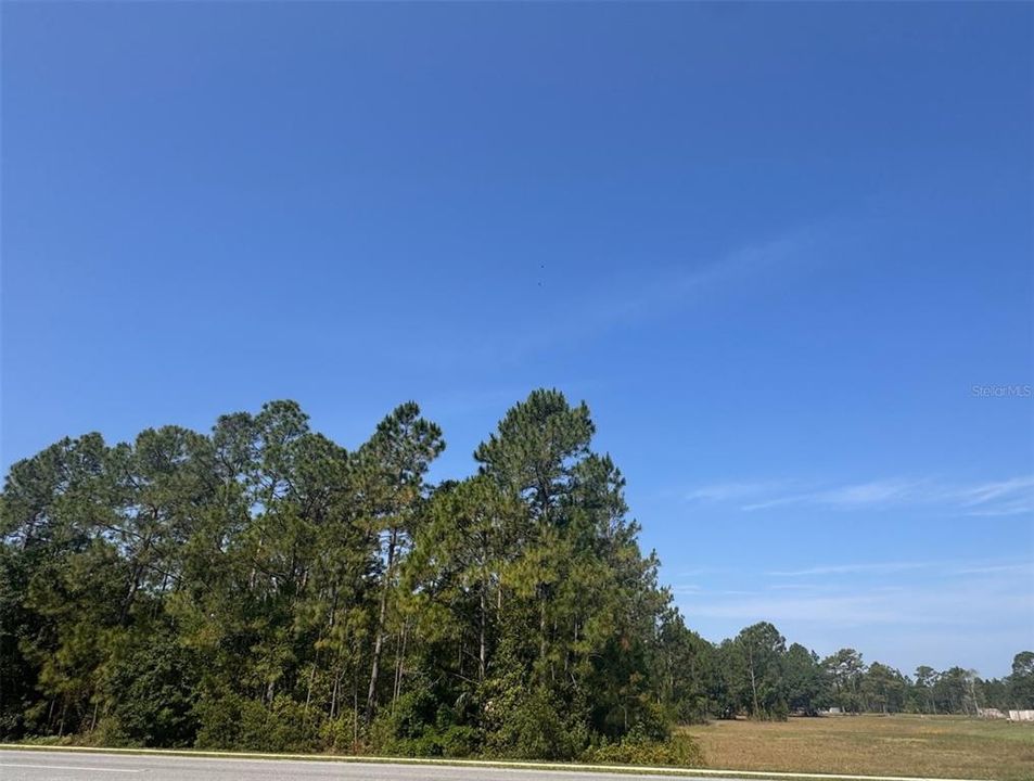 For Sale: $237,999 (2.17 acres)