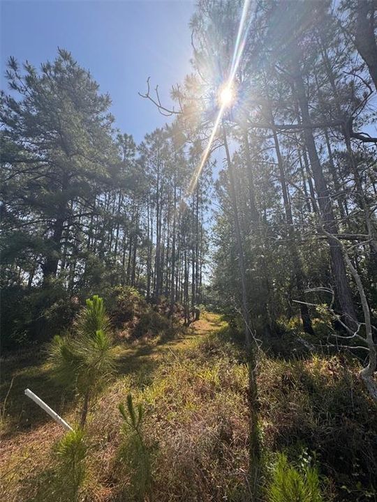 For Sale: $237,999 (2.17 acres)