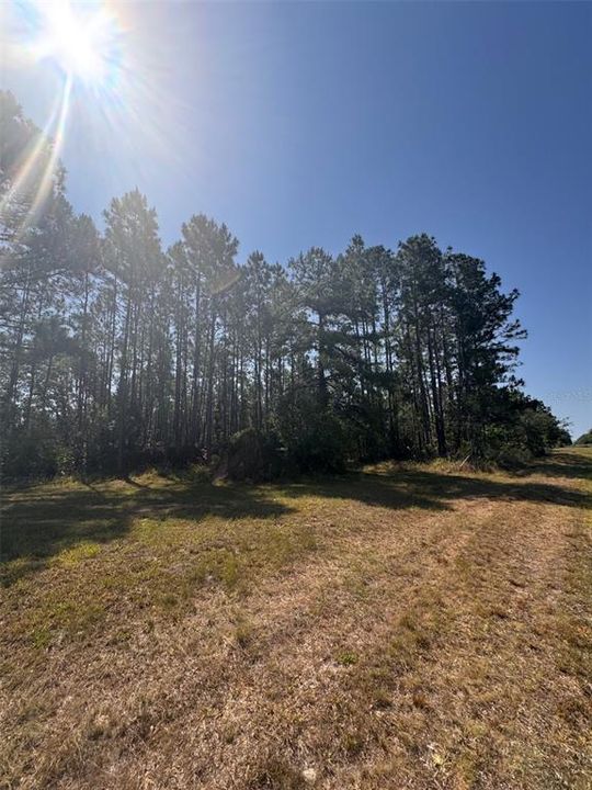 For Sale: $237,999 (2.17 acres)