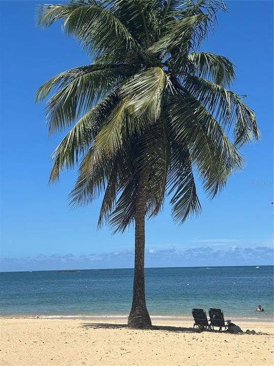 For Sale: $399,950 (3 beds, 2 baths, 1861 Square Feet)