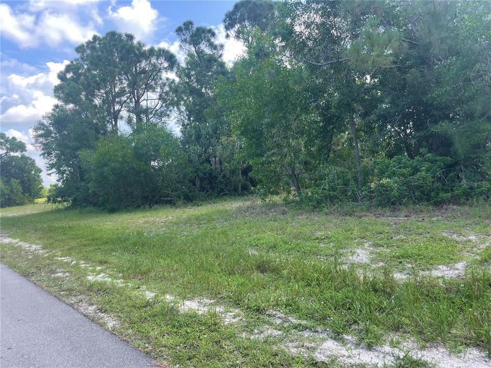 На продажу: $29,900 (0.23 acres)