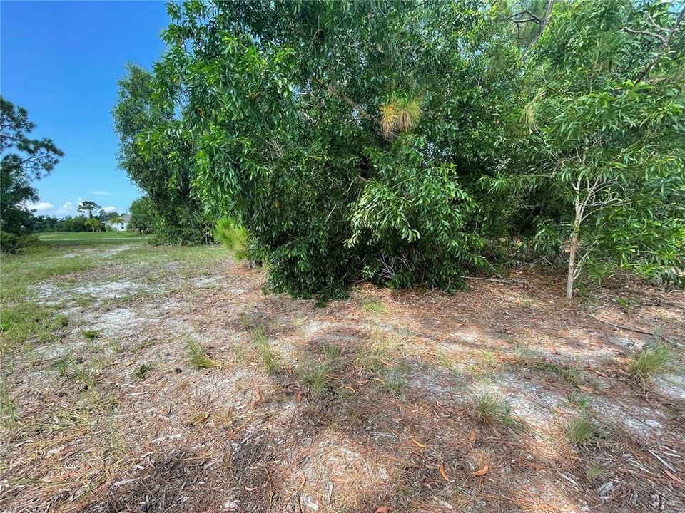 На продажу: $29,900 (0.23 acres)