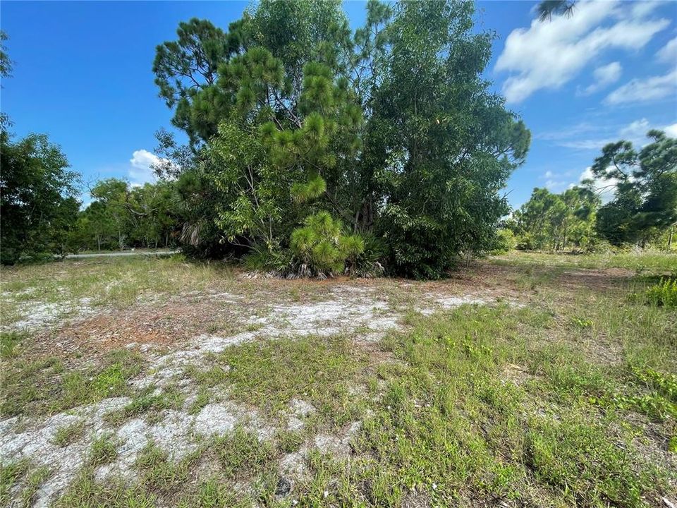 На продажу: $29,900 (0.23 acres)