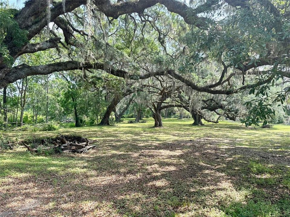 En Venta: $1,750,000 (16.56 acres)