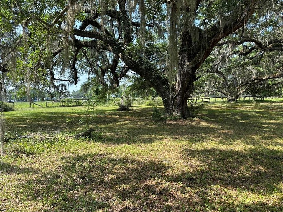 En Venta: $1,750,000 (16.56 acres)