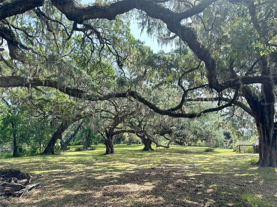 En Venta: $1,750,000 (16.56 acres)