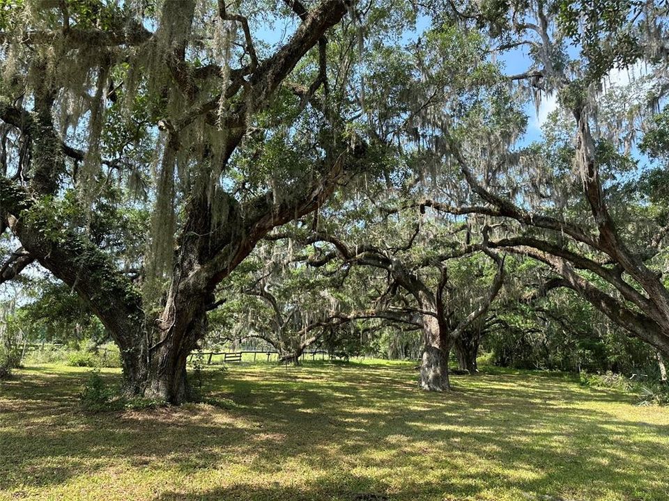 En Venta: $1,750,000 (16.56 acres)