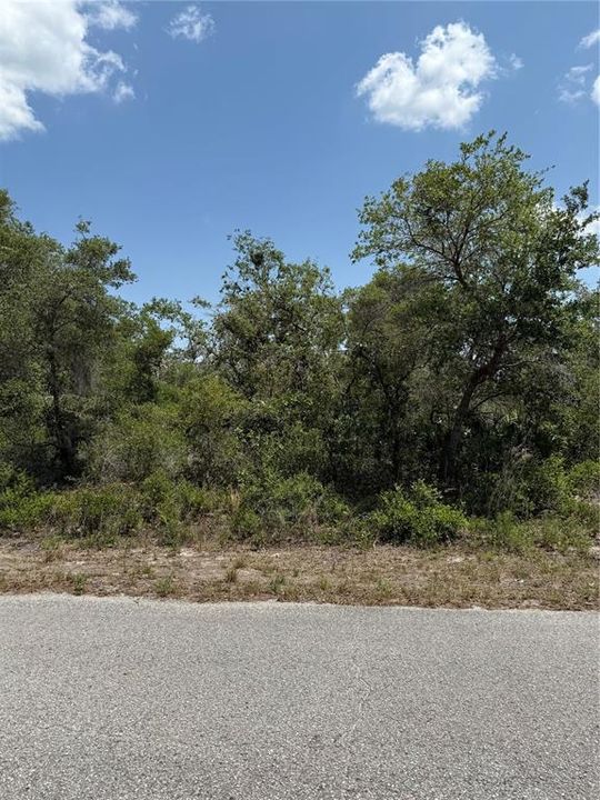 待售: $38,900 (0.28 acres)