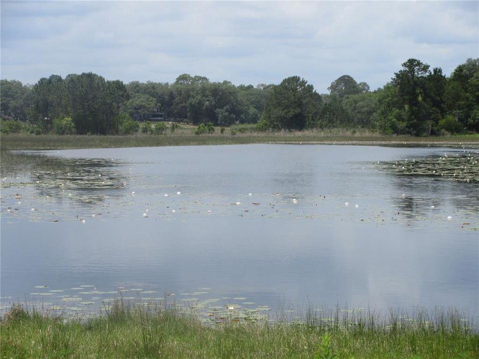 For Sale: $229,000 (2 beds, 1 baths, 960 Square Feet)