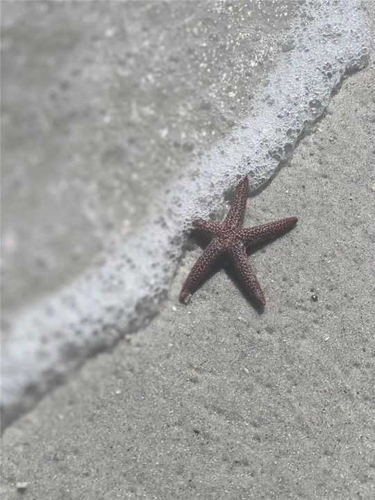 待售: $4,999 (0.09 acres)