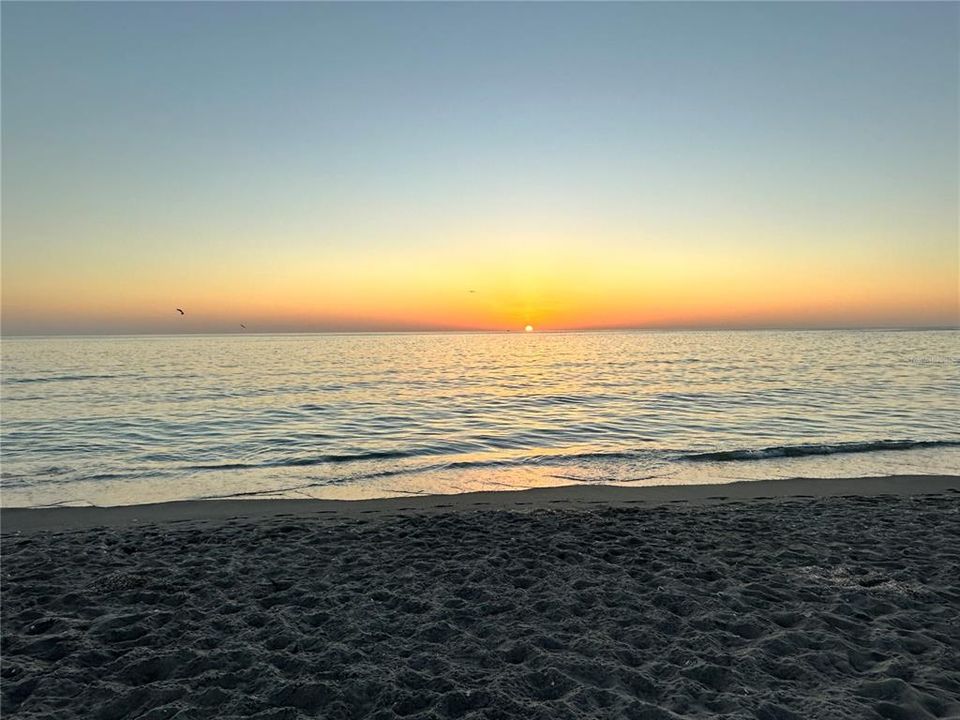 待售: $4,999 (0.09 acres)