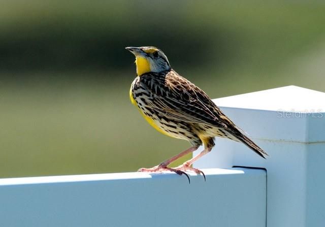 For Sale: $169,900 (0.10 acres)