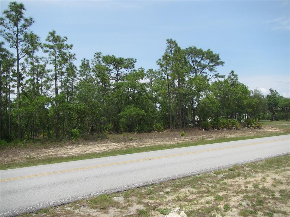 待售: $175,000 (2.75 acres)