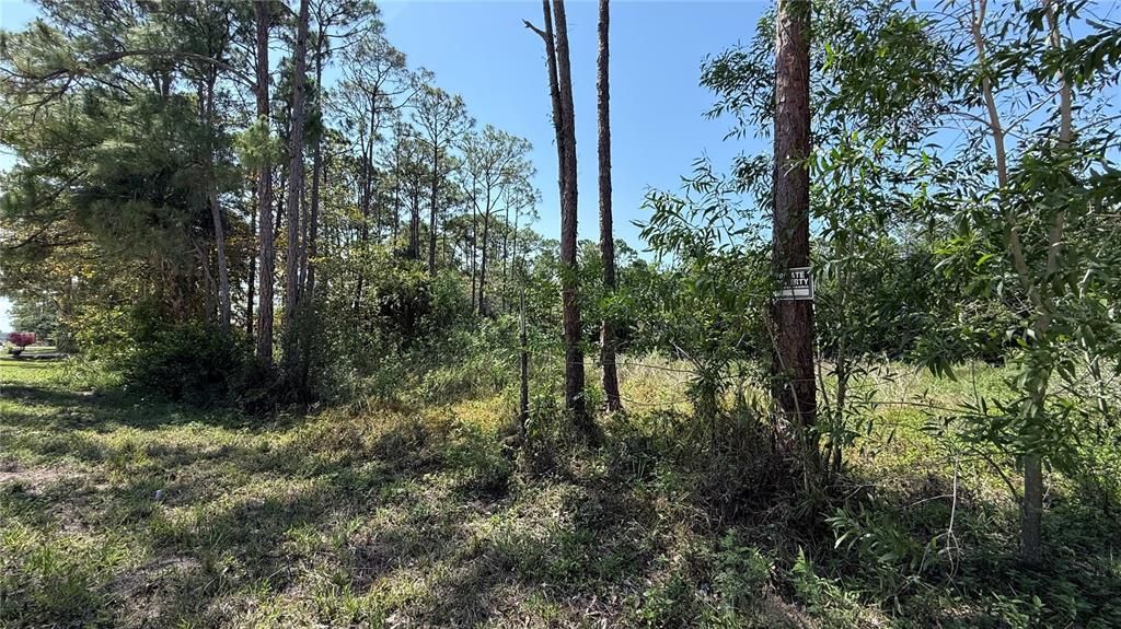 На продажу: $289,900 (1.29 acres)