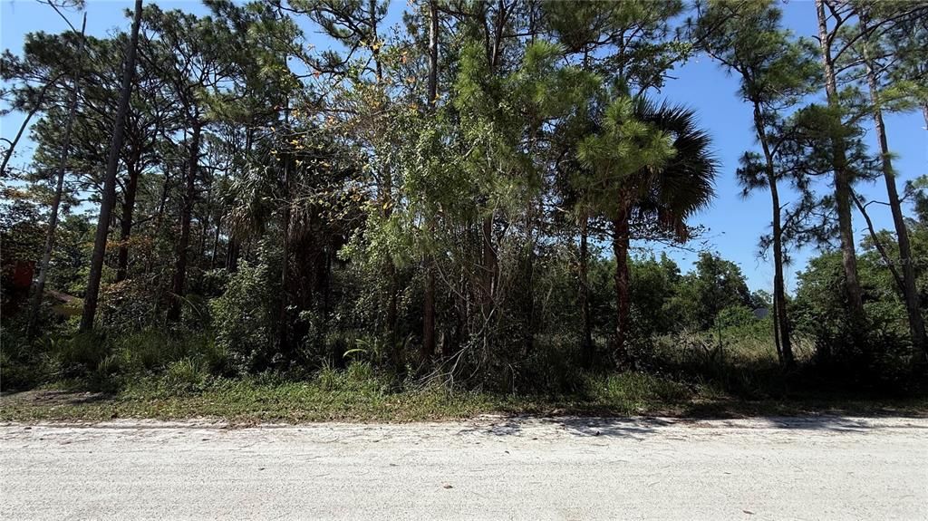 На продажу: $289,900 (1.29 acres)