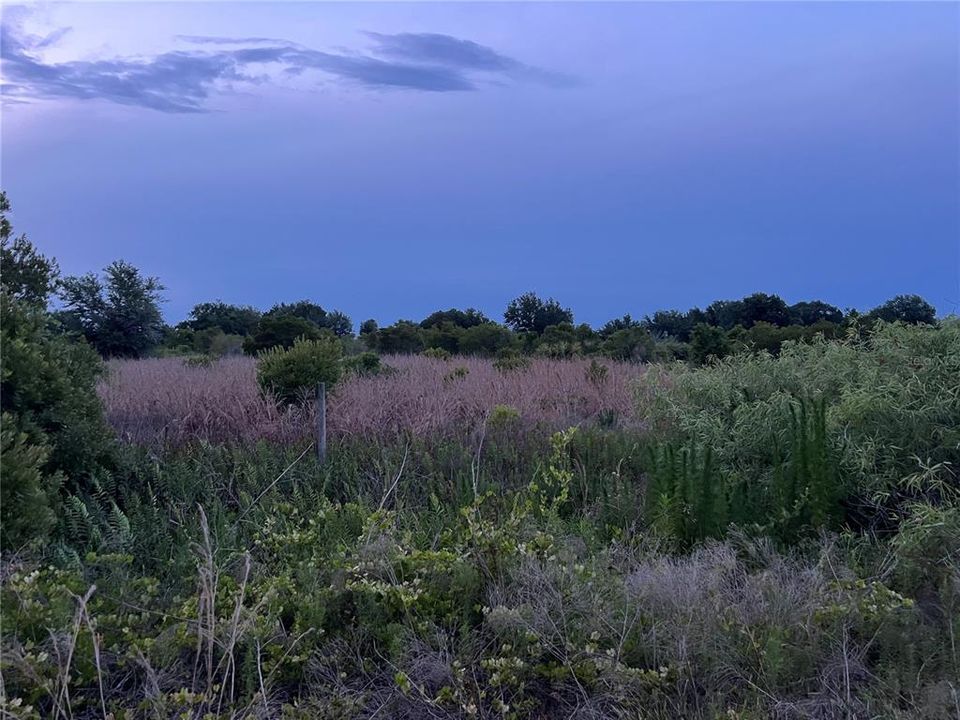 En Venta: $20,000 (2.50 acres)