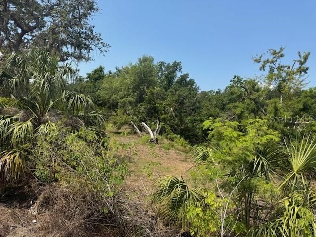 На продажу: $185,000 (0.52 acres)