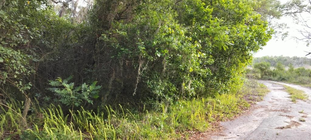 На продажу: $6,500 (0.13 acres)