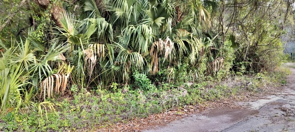 На продажу: $6,500 (0.13 acres)