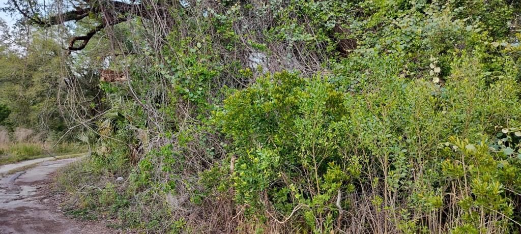 На продажу: $6,500 (0.13 acres)