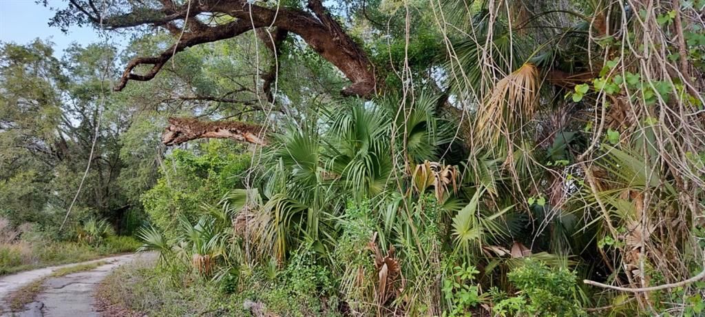 На продажу: $6,500 (0.13 acres)