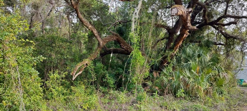 На продажу: $6,500 (0.13 acres)