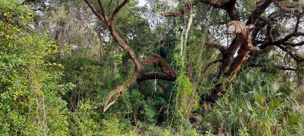 На продажу: $6,500 (0.13 acres)